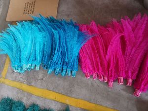 Pluma de avestruz teñida de 50 cm, plumas de nandú para tocados de novia, centros de mesa, decoración de jarrones, manualidades florales, sombrerería, AC8 - Product Image 2