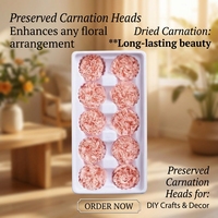 Boîte carrée décorative pour la Saint-Valentin, têtes de fleurs de carnation préservées, bouquets, cadeaux, artisanat DIY, bouquets de carnations séchées