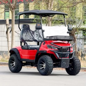 Voiturette de golf 4/6 places à 4 roues, 800W, 60V, avec amortisseur avant hydraulique, vente en gros - Product Image 6