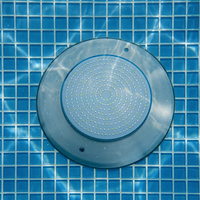 Lampe de piscine en acier inoxydable mince de 8 mm, 25 W, RGB, à intensité variable, lumière de piscine 12 V, étanche IP68, lumière LED sous-marine