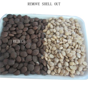 <span class=keywords><strong>Macchina</strong></span> Ottica Compatta Wesort ad Alta Efficienza <span class=keywords><strong>per</strong></span> la Classificazione del Colore delle <span class=keywords><strong>Nocciole</strong></span> <span class=keywords><strong>per</strong></span> la Lavorazione di Noci Speciali in Impianti Globali - Product Image 5