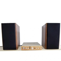 Mini Amplificador de Potencia Bluetooth AV-339, Voltaje Constante, USB, Tarjeta TF, Radio FM, Amplificador de Audio Estéreo HiFi