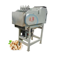 Équipement automatique de décorticage de noix de cajou, machine commerciale de traitement des drupes brutes