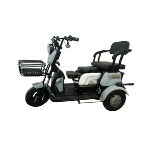 Elektrische Scooter 500 W Vrije Tijd Elektrische Driewielers Nieuw Voor Ouderen Model Gevouwen 3 Wielen Cargo 3 Wiel Fiets Volwassen Open