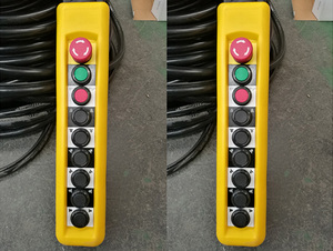 Manettes <span class=keywords><strong>de</strong></span> commande <span class=keywords><strong>de</strong></span> grue sans fil industrielles <span class=keywords><strong>de</strong></span> la marque Weihua Crane - Product Image 2