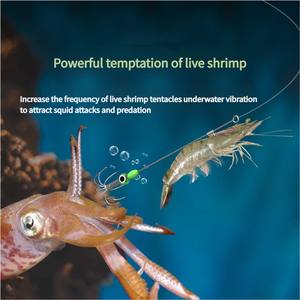 Tube de <span class=keywords><strong>coup</strong></span> lumineux en acier inoxydable parapluie crochet crevettes vivantes calmar élastique crevettes dos crochet pêche leurre crochet - Product Image 3