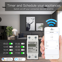 Compteur d'électricité WIFI compteur d'énergie intelligent 5(60)A 110V 230V monophasé Din rail protection contre les surtensions et les courants de sous-tension