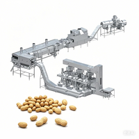 Usine de traitement entièrement automatisée et personnalisable en acier inoxydable 304 de qualité alimentaire pour la friture et le refroidissement des cacahuètes, des graines de soja et des noix, avec système PLC