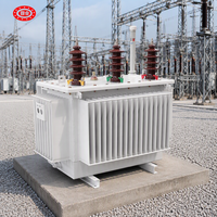 Transformateur de puissance industriel immergé dans l'huile, triphasé 6,6 kV 415 V, à double enroulement, 50 kVA, 100 kVA, 150 kVA, 250 kVA