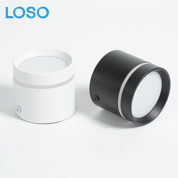 Downlight-Blanc