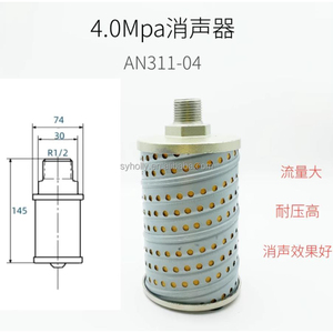 Глушитель высокого давления для выдувной машины для бутылок пластиковая выдувная формовочная машина AN110-04 AN11004 - Product Image 4