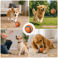 Programme de vente en gros : Balle élastique en TPE pour animaux de compagnie, disponible en deux tailles, pour le jeu de rapport du chien et la poursuite par le chat, et pour la distribution au détail