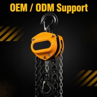 WIN TOP STAR 5000KG Alat Angkat Rantai Manual Efisien, Blok Rantai Tangan 5 Ton, Operasi Lancar, Bersertifikasi CE IP66, Warna Oranye