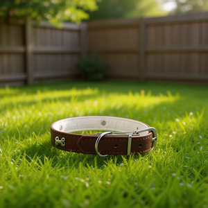 Collare per Animali Domestici a Forma di Osso Monocolore da 2CM, Elegante e Alla Moda - Product Image 2