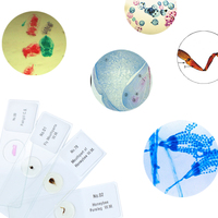 Factory Direct Teaching and Learning 100 Pieces Botany Prepared Slides