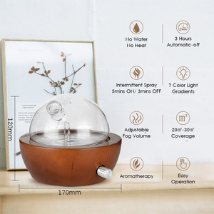 Mỹ Sản phẩm mới hương liệu tinh dầu khuếch tán không dùng nước thủy tinh Máy phun sương khuếch tán - Product Image 3