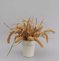 Pot de fleurs en métal galvanisé blanc vieilli, simple et conique, avec poignées, pour décoration de ferme et de maison