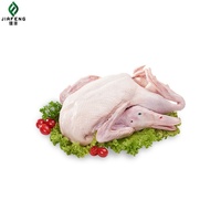 대형 2.5-3.0kg 식품 서비스를위한 일정한 무게와 냉동 전체 오리