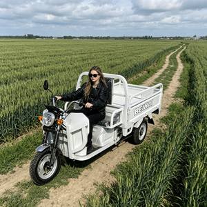 2026 BEIHAI Three Wheeled Supercar Cheap Mini 60V 2000W Scooter 3 Wheel <b>Passenger</b> Tricycles for Adults - Product Image 3