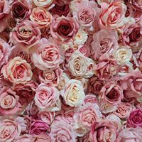 DKB PROMOTION Mur de fleurs en soie, Mur de roses pour décoration de mariage, toile de fond de fête, Mur floral
