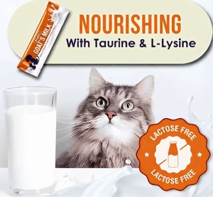 <span class=keywords><strong>Poudre</strong></span> de lait de chèvre pour chiens et chats, riche en protéines, levure nutritionnelle, estomacs sensibles, probiotique doux, facile à stocker, individuel - Product Image 2