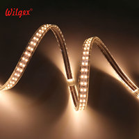 Prix d'usine Bande lumineuse LED étanche IP65 40m Double rangée de perles 180 LED/m Fil de cuivre pur étamé Garantie 5 ans