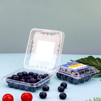 Meilleure boîte d'emballage de myrtilles de fruits jetable et bon marché petite boîte de myrtilles en plastique PET délicate avec couvercle transparent 125g