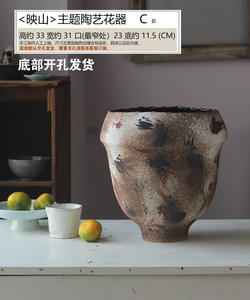 Pot de fleurs en faïence rustique Homestay Article décoratif Vase à fleurs Porte-fleur Vintage Vieux Pot en faïence Pot Succulent Pot - Product Image 5