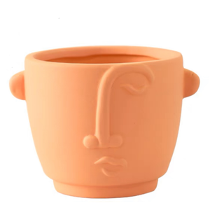Design unique en forme de <span class=keywords><strong>visage</strong></span> décoration de balcon pour la maison jardinière succulente pots de fleurs en <span class=keywords><strong>terre</strong></span> <span class=keywords><strong>cuite</strong></span> personnalisés - Product Image 6
