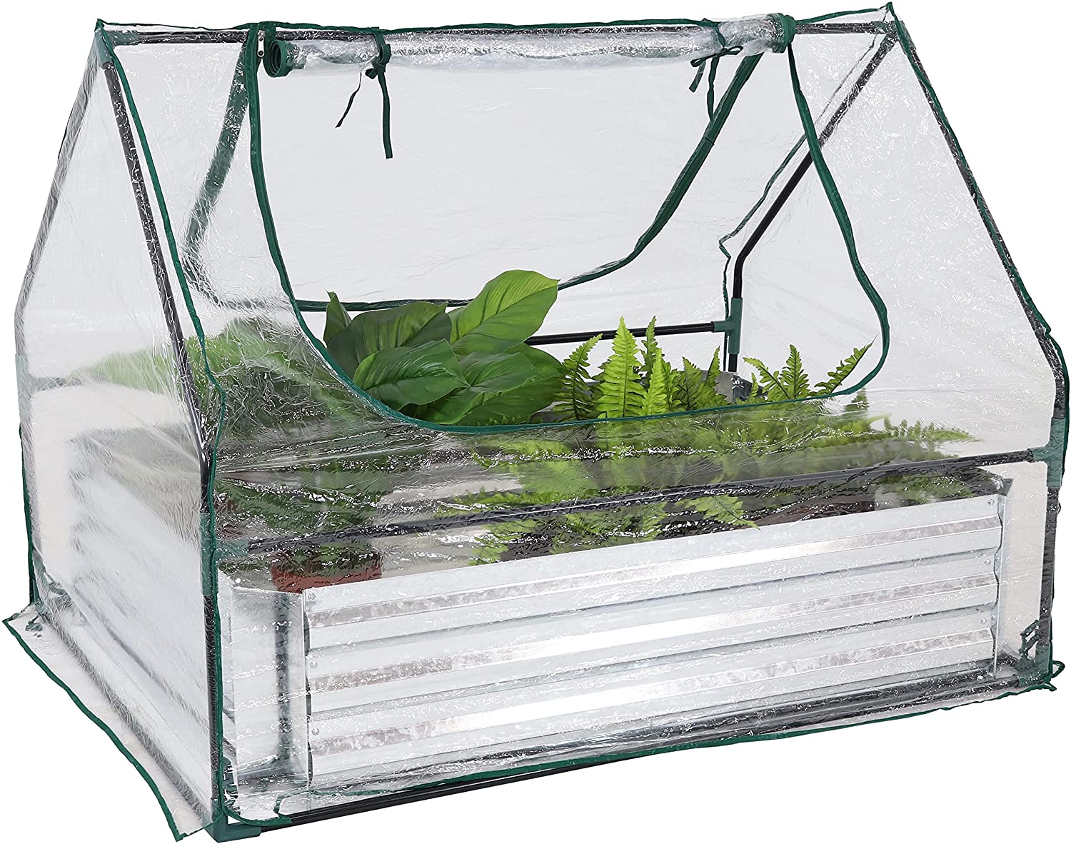 Transparent
