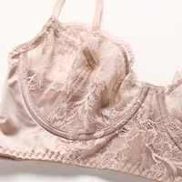 Vrouwen Doorzien Borduurwerk Kant Comfortabele Ademende Franse Sexy Push-Up Bh En Korte Sets