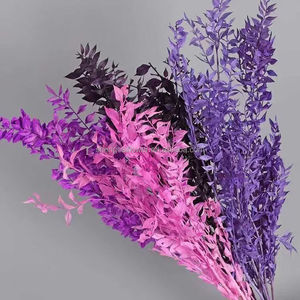 Nueva Llegada de Hojas Preservadas de Color Naranja, Flores Secas de Larga Duración, Planta Decorativa para Decoración de Bodas y San Valentín - Product Image 2