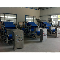 Industriële 220V Sap Persmachine Nieuwe Staat Apple Juicer Fruit Crusher Schroef/Riem Soort Voor Verwerking Groenten Fruit Fruit