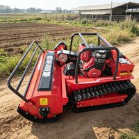 Mesin Pemotong Rumput Tienu 800mm 1000mm 1200mm Mesin Diesel Bertenaga untuk Rumah dan Kebun dengan Remote Control Harga Mesin Pemotong Rumput