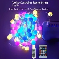 Guirlande lumineuse LED décorative pour sapin de Noël, intelligente, à commande vocale, USB, RGB, à changement de couleur, pour intérieur/extérieur