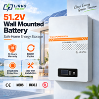 LIRVO Système de Stockage d'Énergie Extérieur de Qualité Supérieure, Batterie LiFePO4 51.2V 5KWH 100AH, 8000 cycles, Alimentation Solaire CAN