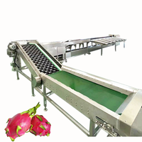 Olijf Mandarijn Sinaasappel Gewicht Vis Kleur Aardappel Fruit Tomat Kastanje Avocado Sorteermachine KHGX-6J Sensor PLC 600KG Fruit