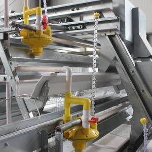 Spécialisation dans les solutions de cages à poules de type A pour les exploitations commerciales de petite et moyenne taille en Afrique - Product Image 5