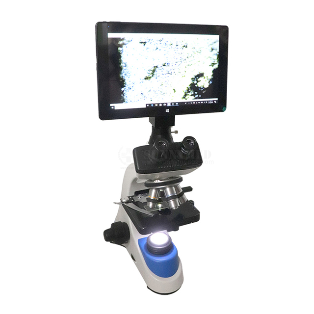 SY-B129F2 High Quality China Microscope Biological Laboratory Magnification 40X-1000X Binocular Microscope