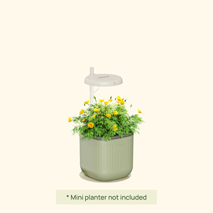 Support de culture miniature pour plantes <span class=keywords><strong>d</strong></span>'<span class=keywords><strong>intérieur</strong></span>, lampe LED à spectre complet pour petites surfaces, herbes, semis, plantes <span class=keywords><strong>d</strong></span>'<span class=keywords><strong>intérieur</strong></span> - Product Image 1