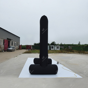 맞춤형 크기 PVC 방수 야외 대형 스크린 전동 에어펌프 포함 - Product Image 4