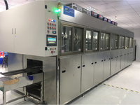 Gebruikte Automatische Ultrasone Reinigingsmachine Voor Fruitgroenten Graanproducten