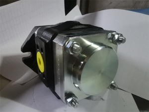 ปั๊มเกียร์หลายระดับซีรีส์ G28V G33C G38 G47 G55 รุ่น G47C032FSBACODV - Product Image 2