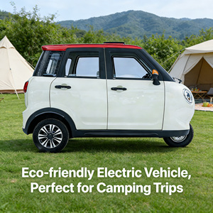 Véhicule électrique domestique à trois roues fermé pour trajets urbains, écoénergétique et à faible consommation de carburant, 1000W+30-50Km/h, pour 3 personnes - Product Image 2