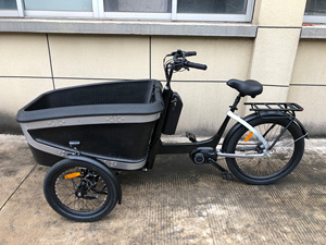 Bicicleta Eléctrica de Carga de 48v para Reparto, Bicicleta Eléctrica de Carga de 3 Ruedas, Estándar Europeo, Cuadro de Alta Calidad para Transportar Niños <span class=keywords><strong>en</strong></span> Familia - Product Image 4