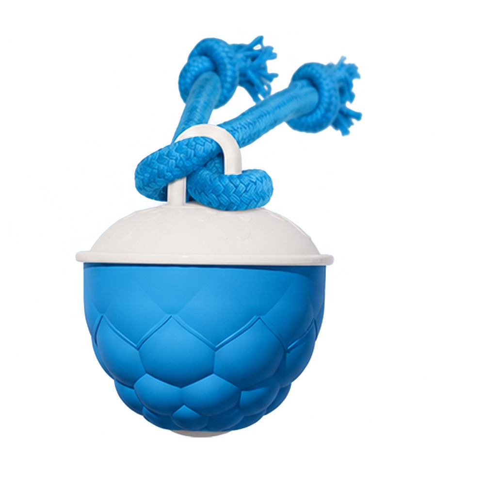 Impronta di zampa blu