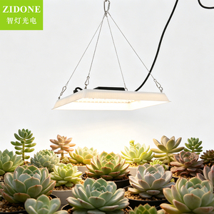 <span class=keywords><strong>Lampe</strong></span> de culture <span class=keywords><strong>LED</strong></span> suspendue à spectre complet IP65 étanche pour plantes d'intérieur, succulentes, légumes, fleurs, <span class=keywords><strong>semis</strong></span>, horticulture, serre - Product Image 1