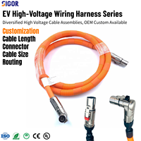 Harnais de câblage personnalisé haute tension en PVC/PBT/PTFE, assemblage de câbles étanche IP67 pour batterie automobile, onduleur PDU, contrôleur de moteur