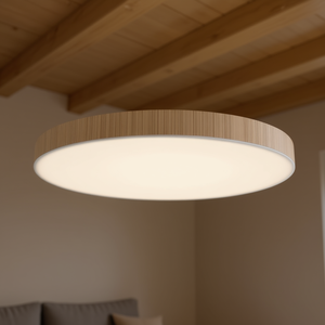 Plafoniera LED Dimmerabile LEDUNI 2700K-6500K CCT, Design Circolare, Corpo in PVC, Illuminazione per Soggiorno - Product Image 2