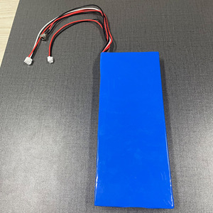 Batteries à Ions de Sodium 24v 36v 48v 12v, Acheter des Batteries à Ions de Sodium, Cellules de Batteries à Ions de Sodium - Product Image 1